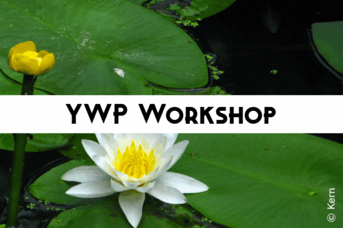 picturelink to young water professional Workshop page